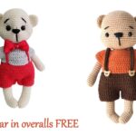 Teddy Bear in overalls Amigurumi Free Pattern